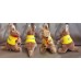 Kangaroo Toys in Custom Logo Jackets – 5″ / 12 cm