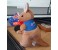 Kangaroo Toys in Custom Logo Jackets – 7″ / 17 cm / Flag (optional)