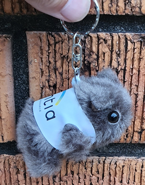 Wombat toys with the key ring in custom printed jackets -
unique give-away promotional gifts
